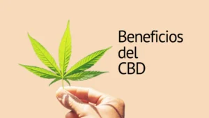 persona usando CBD para relajación