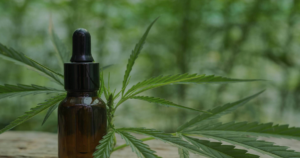 frascos de aceite de cbd con gotero uso sublingual bienestar natural