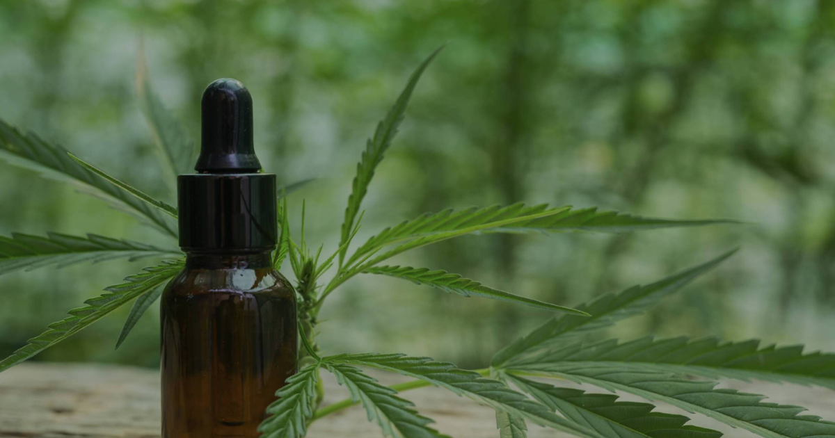 frascos de aceite de cbd con gotero uso sublingual bienestar natural