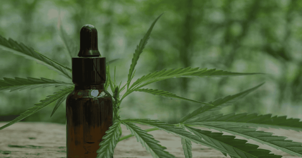 Aceite de CBD en gotero con hoja de cáñamo en fondo verde natural.