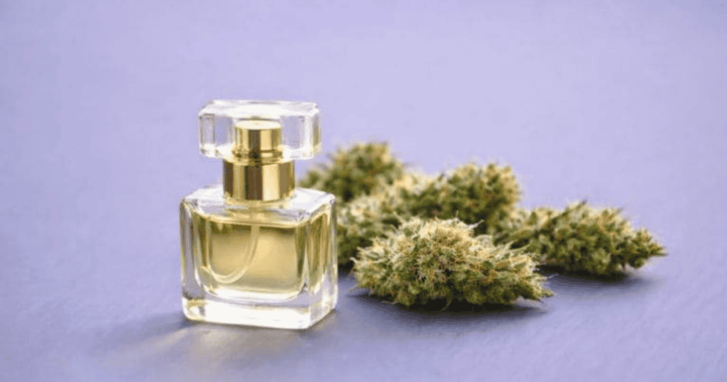 Perfume con extracto de cáñamo y flores secas en fondo lila.