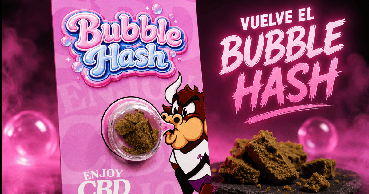 Bubble Hash de Enjoy CBD en presentación con muestra del producto y bloques de resina.
